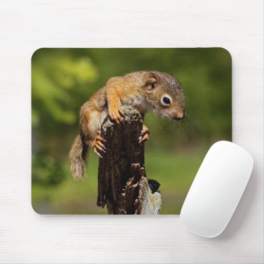 Baby Red Squirrel Mousepad (Mit Mouse)
