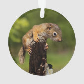 Baby Red Squirrel Ornament (Rückseite)
