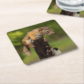 Baby Red Squirrel Rechteckiger Pappuntersetzer (angewinkelt)