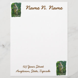 Baby Red Tail Hawk Letterhead Stationery Briefbogen