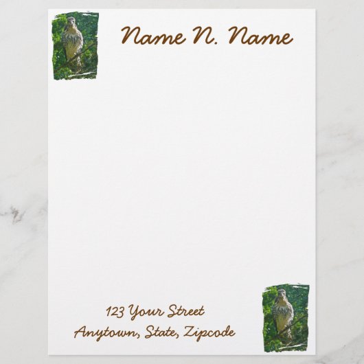 Baby Red Tail Hawk Letterhead Stationery Briefbogen (Vorderseite)
