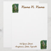 Baby Red Tail Hawk Letterhead Stationery Briefbogen (Vorne/Hinten)