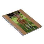 Baby Reh Notebook Notizblock (Rechte Seite)