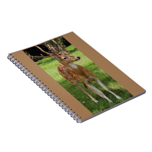 Baby Reh Notebook Notizblock (Rechte Seite)