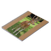 Baby Reh Notebook Notizblock (Linke Seite)