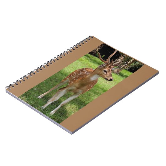 Baby Reh Notebook Notizblock (Linke Seite)