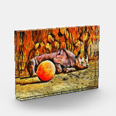Baby Rhino Acrylic Block (Links)