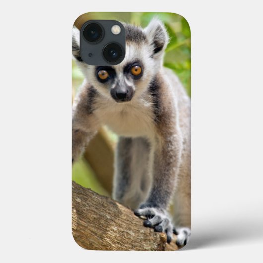 Baby Ring-angebundener Lemur Case-Mate iPhone Hülle (Rückseite)