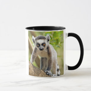Baby Ringelschwanzmaki Tasse
