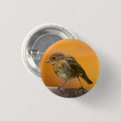 Baby Robin auf einem Baumzweig Button (Vorne & Hinten)