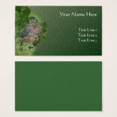 Baby Robin Fledgling Bird Animal Nature (Vorne & Hinten)