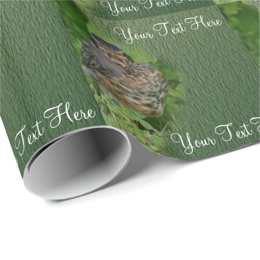 Baby Robin Fledgling Bird Nature Geschenkpapier (Rolleneckpunkt)