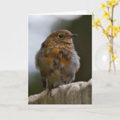Baby Robin Greeting Card Karte (Gelbe Blume)