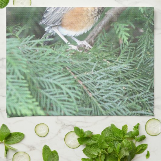 Baby Robin Handtuch (Gefaltet)