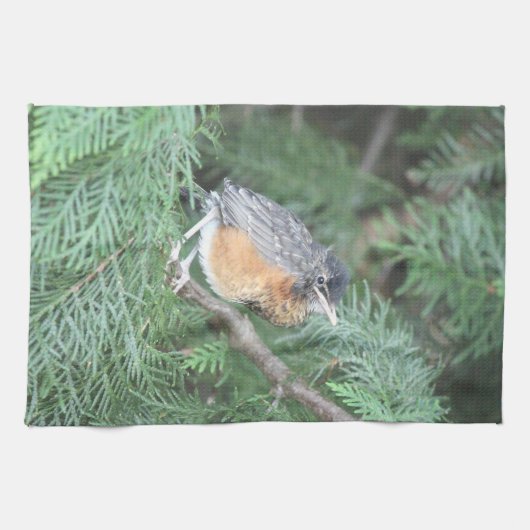 Baby Robin Handtuch (Horizontal)
