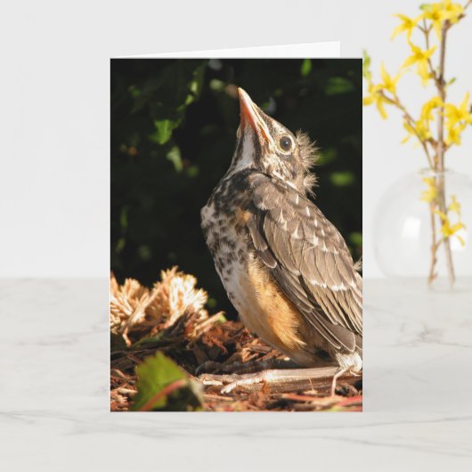 Baby Robin Karte (Gelbe Blume)