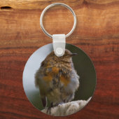 Baby Robin Keyring Schlüsselanhänger (Vorderseite)