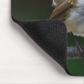 Baby Robin Mouspad Mousepad (Ecke)