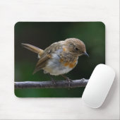 Baby Robin Mouspad Mousepad (Mit Mouse)