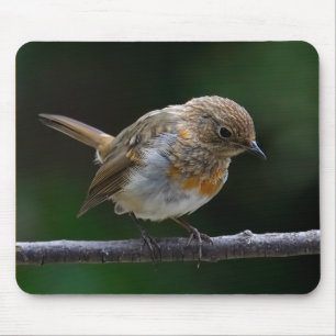 Baby Robin Mouspad Mousepad