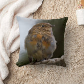 Baby Robin Pillow Kissen (Decke)
