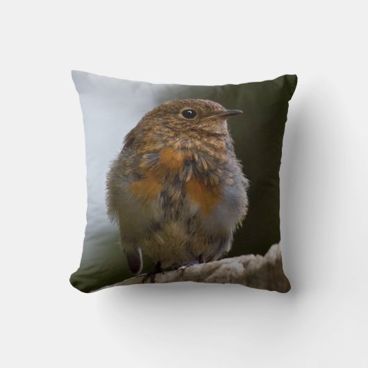 Baby Robin Pillow Kissen (Vorderseite)