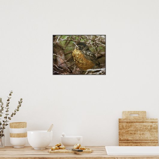 Baby Robin Poster (Küche)