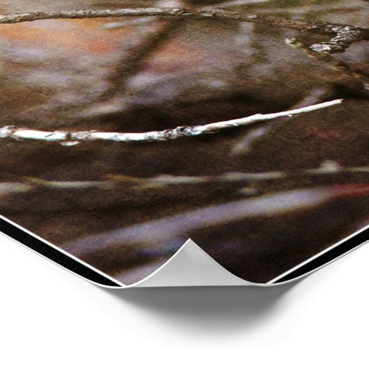 Baby Robin Poster (Ecke)