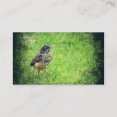 Baby Robin Visitenkarte (Rückseite)