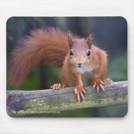 Baby-Rot Mousemat Mousepad (Vorne)