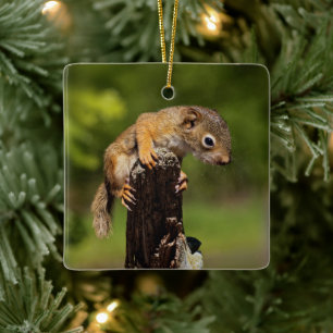 Baby Rothörnchen Keramikornament