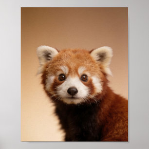 Baby-Rotpanda-Porträt – Süße Tier-Wanddekoration f Poster