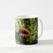Baby-Rotpanda-Ruht auf einem Baum Kaffeetasse (VorderseiteRechts)