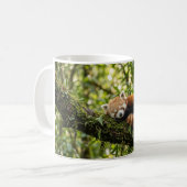 Baby-Rotpanda-Ruht auf einem Baum Kaffeetasse (Vorderseite Links)