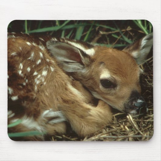 Baby-Rotwild-Mausunterlage Mousepad (Vorne)
