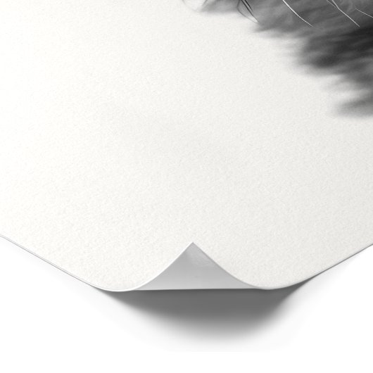 Baby Safari African Jungle Animals Cheetah Poster (Ecke)