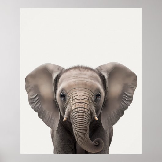 Baby Safari African Jungle Animals Elephant Poster (Vorne)