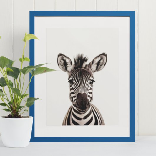 Baby Safari African Jungle Animals Zebra Poster