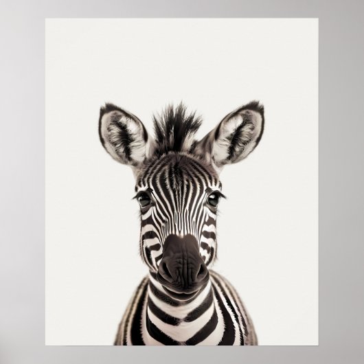Baby Safari African Jungle Animals Zebra Poster (Vorne)