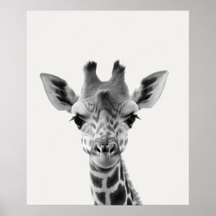 Baby-Safari Afrikanische Dschungeltiere Giraffe Poster