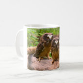 Baby sah Whet Eulen-Tasse Kaffeetasse (Vorderseite Links)