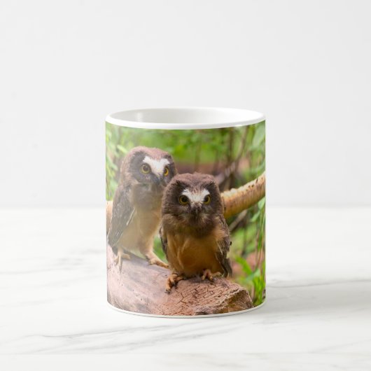 Baby sah Whet Eulen-Tasse Kaffeetasse (Mittel)