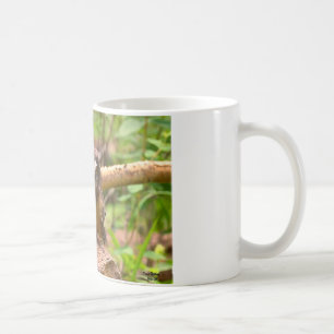 Baby sah Whet Eulen-Tasse Kaffeetasse