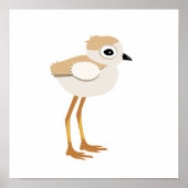 Baby Sandpiper oder Pipe Plover Chick Poster (Vorne)