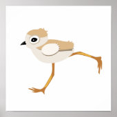 Baby Sandpiper oder Pipe Plover Chick Poster (Vorne)