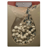 Baby-Schildkröte-Ei-Ausbrüten Klemmbrett (Vorderseite)