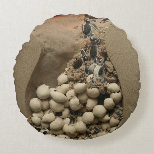 Baby-Schildkröte-Ei-Ausbrüten Rundes Kissen (Vorderseite)