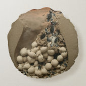 Baby-Schildkröte-Ei-Ausbrüten Rundes Kissen (Rückseite)