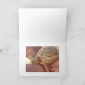 Baby-Schildkröte Karte (Innenseite)