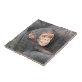 Baby-Schimpanse Fliese (Seite)